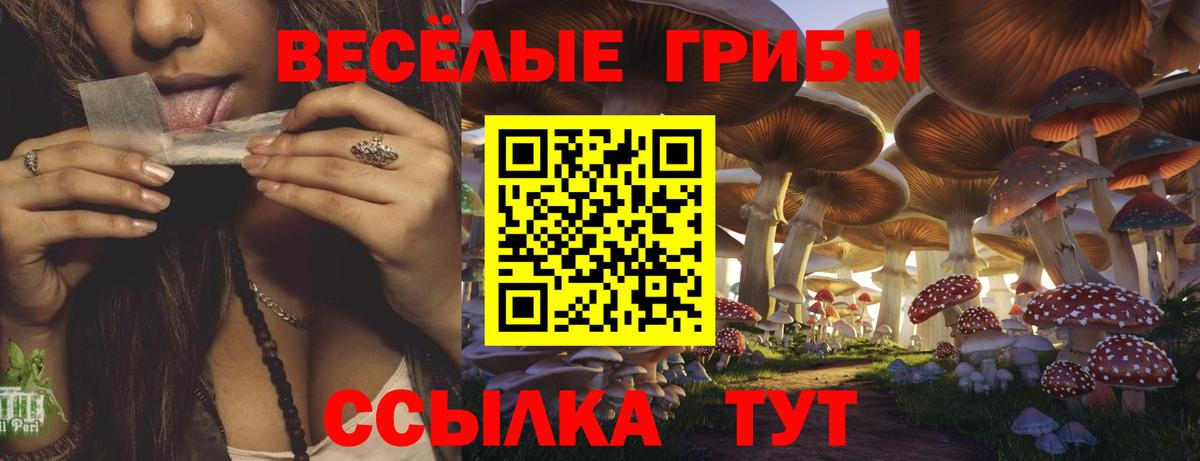 Изобильный  Псилоцибиновые грибы GOLDEN TEACHER  Вход с VPN  купить наркотик  Галлюциногенные грибы мицелий 